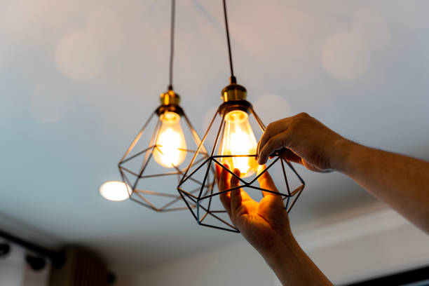 Best Commercial Electrician Services  in Oreana, IL