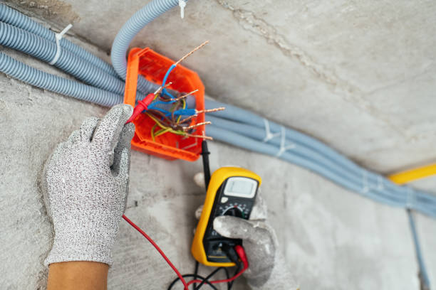 Best Ceiling Fan Installation Electrician  in Oreana, IL